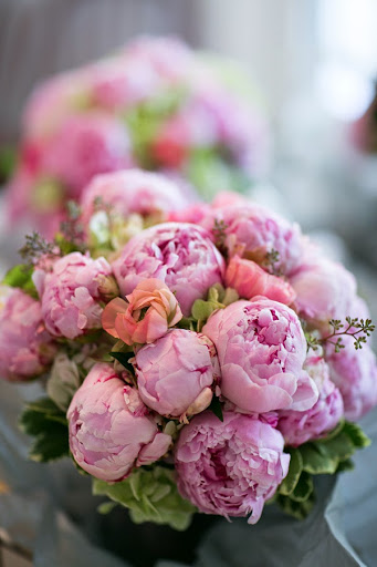 Florist «Tourterelle», reviews and photos, 2216 Ivy Rd, Charlottesville, VA 22903, USA