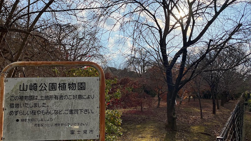 山崎公園植物園