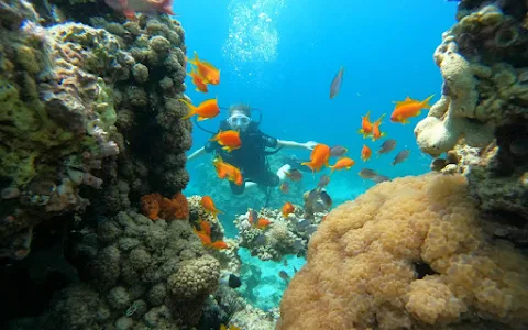 Aqaba Moon Divers image