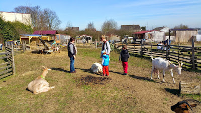 Ferme pédagogique Le P'tit Brin d'Paille à Longjumeau