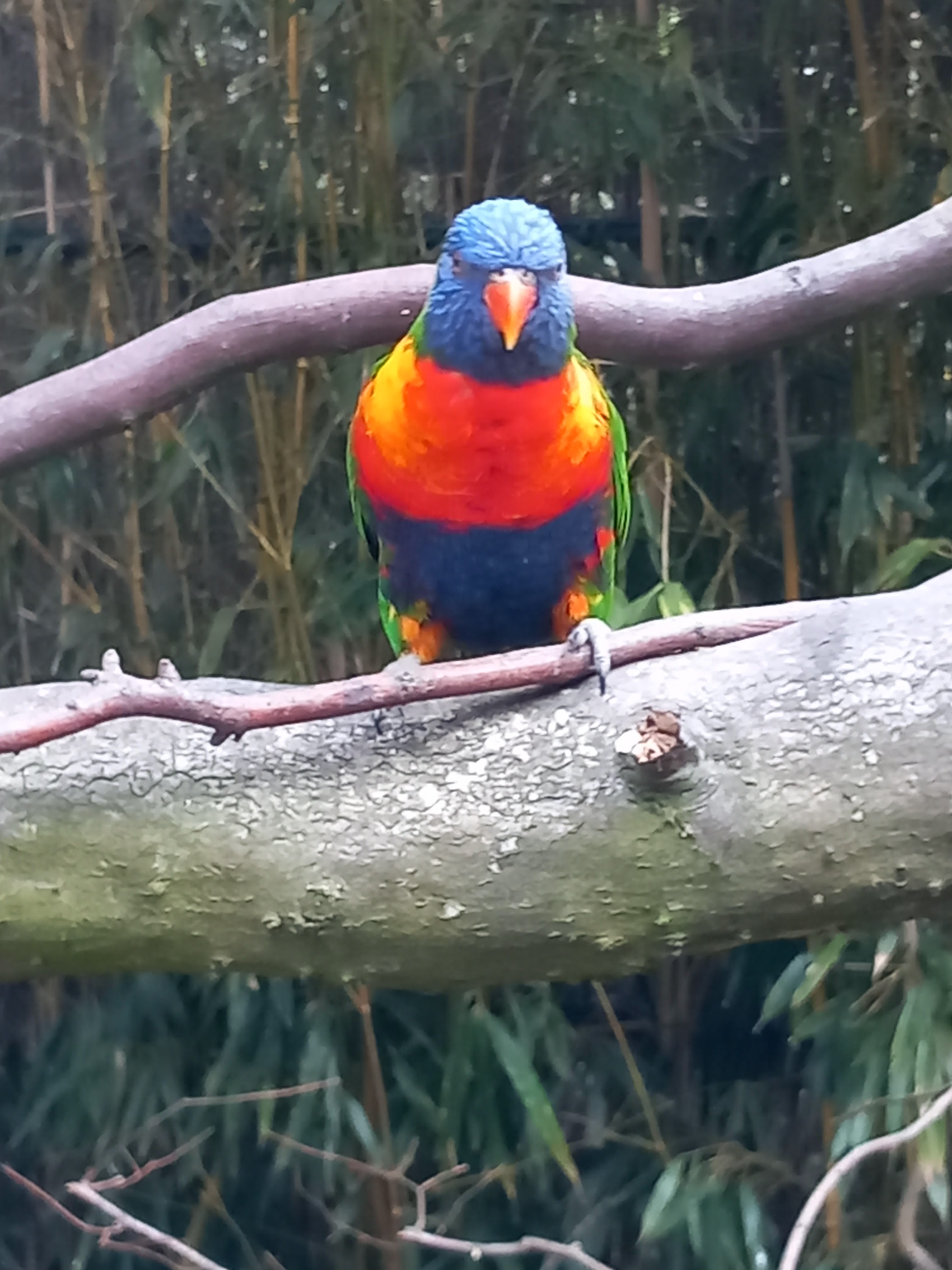 Photo n° 17 de l'avis de Julien.a fait le 11/10/2023 à 18:47