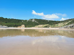 Zdjęcie Oxwich Bay beach położony w naturalnym obszarze