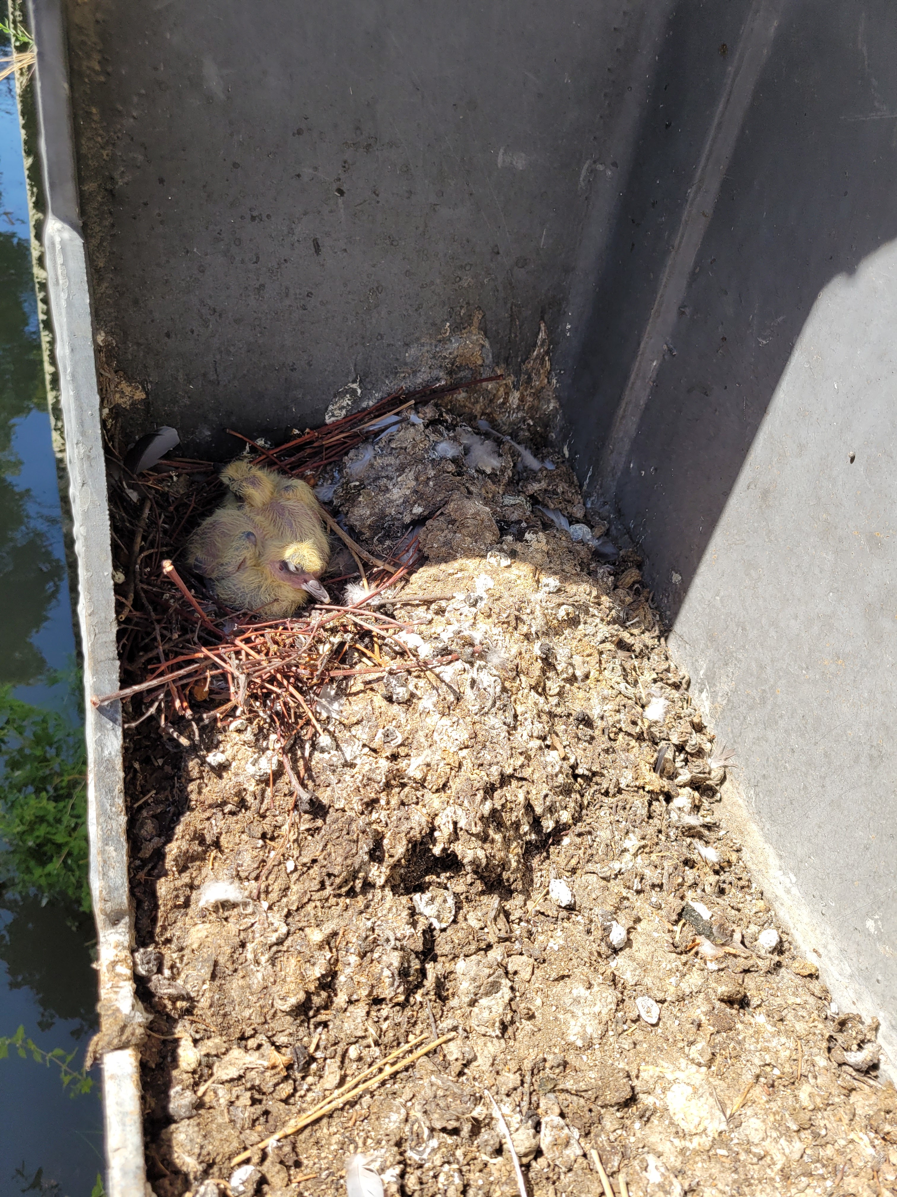 Photo n° 3 de l'avis de Vincent.e fait le 20/08/2023 à 17:42