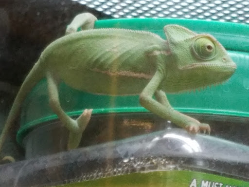 Pet Supply Store «Petco Animal Supplies», reviews and photos, 911 N Stratford Rd c, Moses Lake, WA 98837, USA