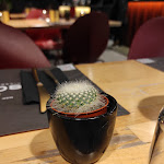 Photo n°4 de l'avis de Barbara.p fait le 20/02/2023 à 15:26 sur le  Sciara Pizzeria Vulcanica à Catania