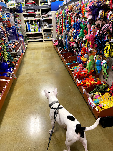 Pet Supply Store «PetSmart», reviews and photos, 5241 Monroe St, Toledo, OH 43623, USA