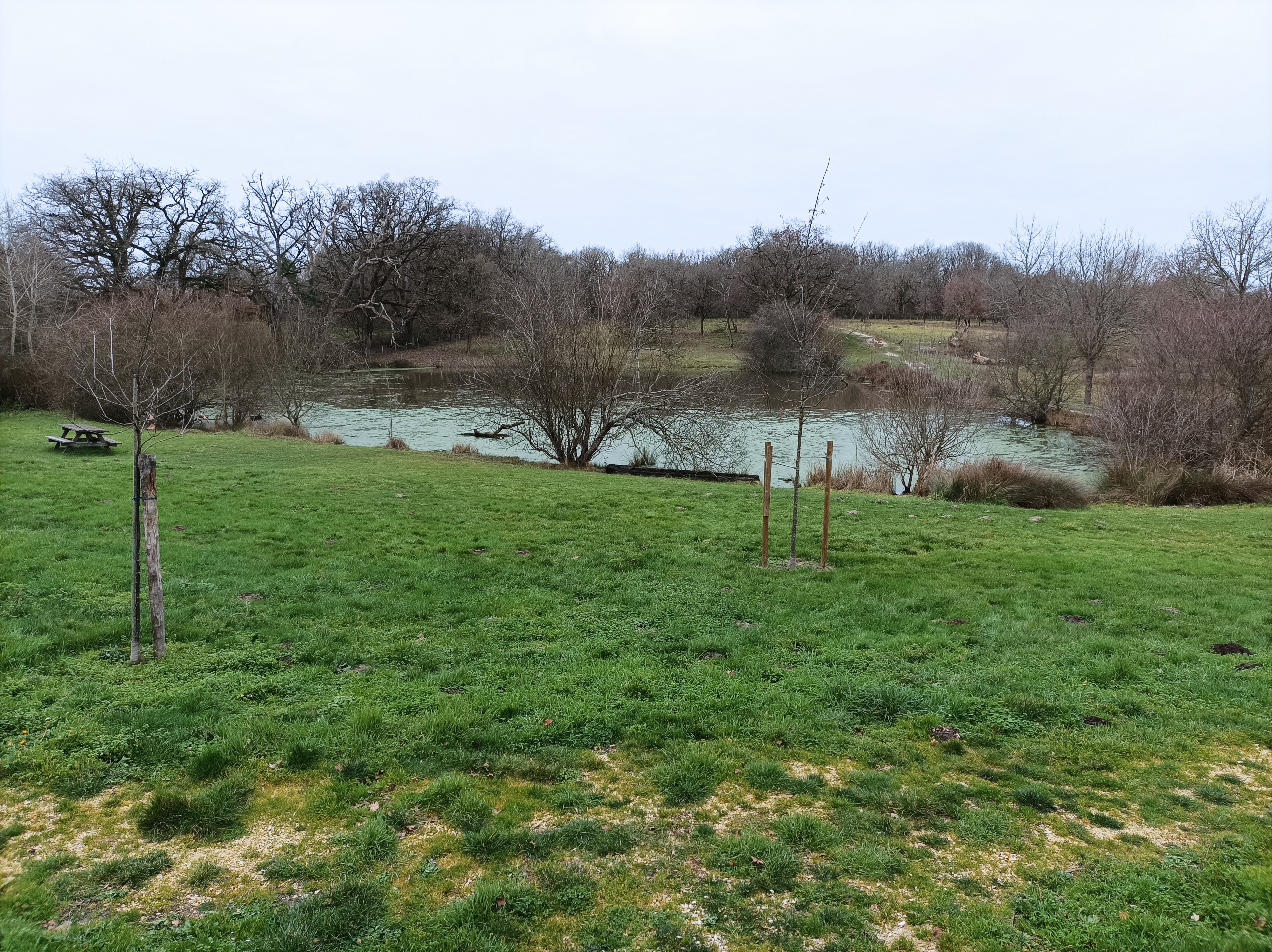 Photo n° 1 de l'avis de Jérôme.R fait le 11/02/2023 à 21:14