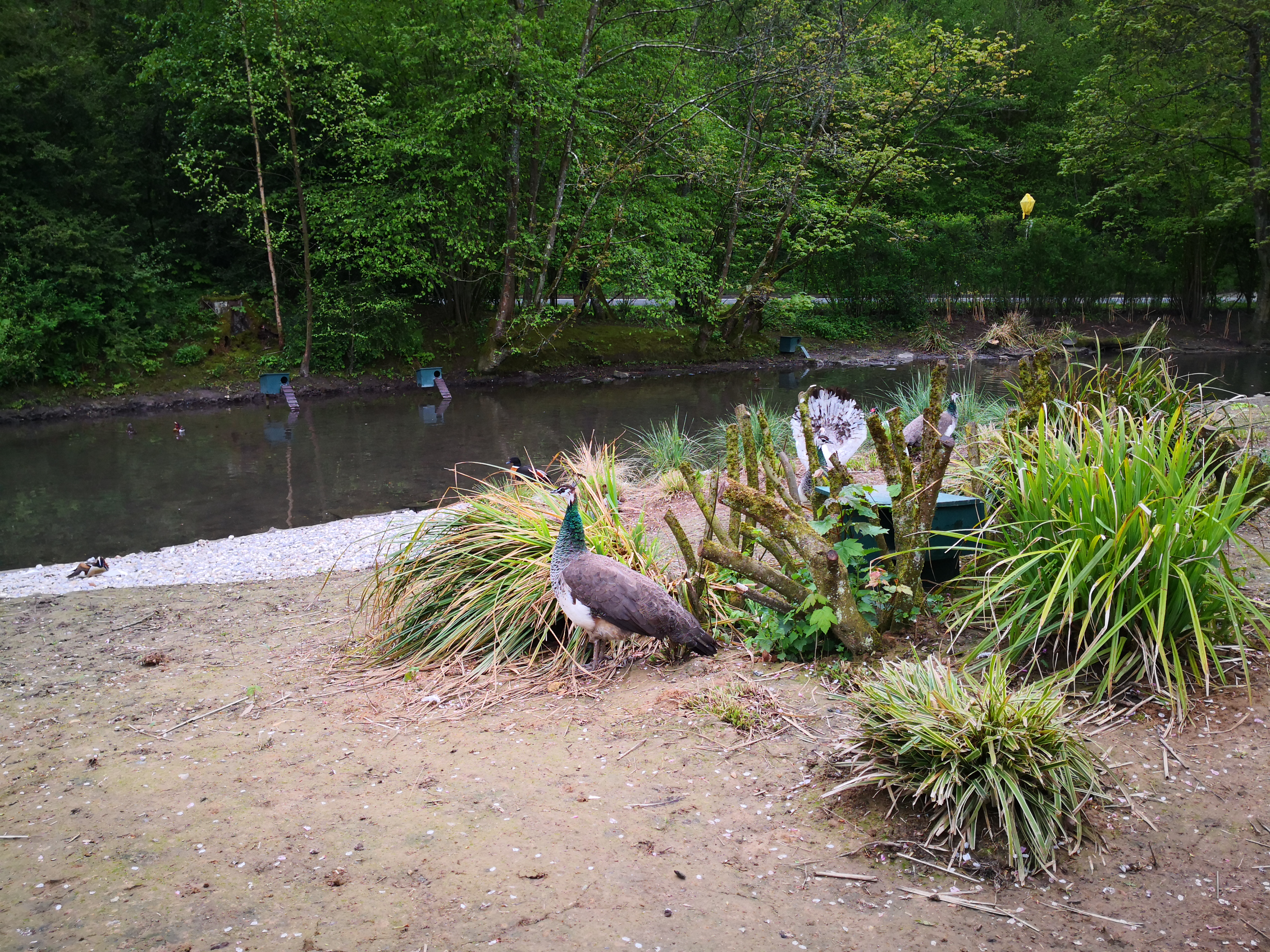 Photo n° 6 de l'avis de Mélanie. fait le 02/05/2019 à 08:22