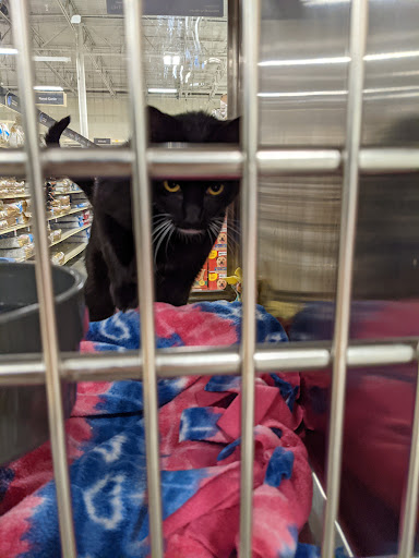 Pet Supply Store «PetSmart», reviews and photos, 13000 Aurora Ave N, Seattle, WA 98133, USA