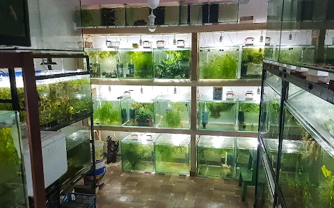 House with Aquariums image