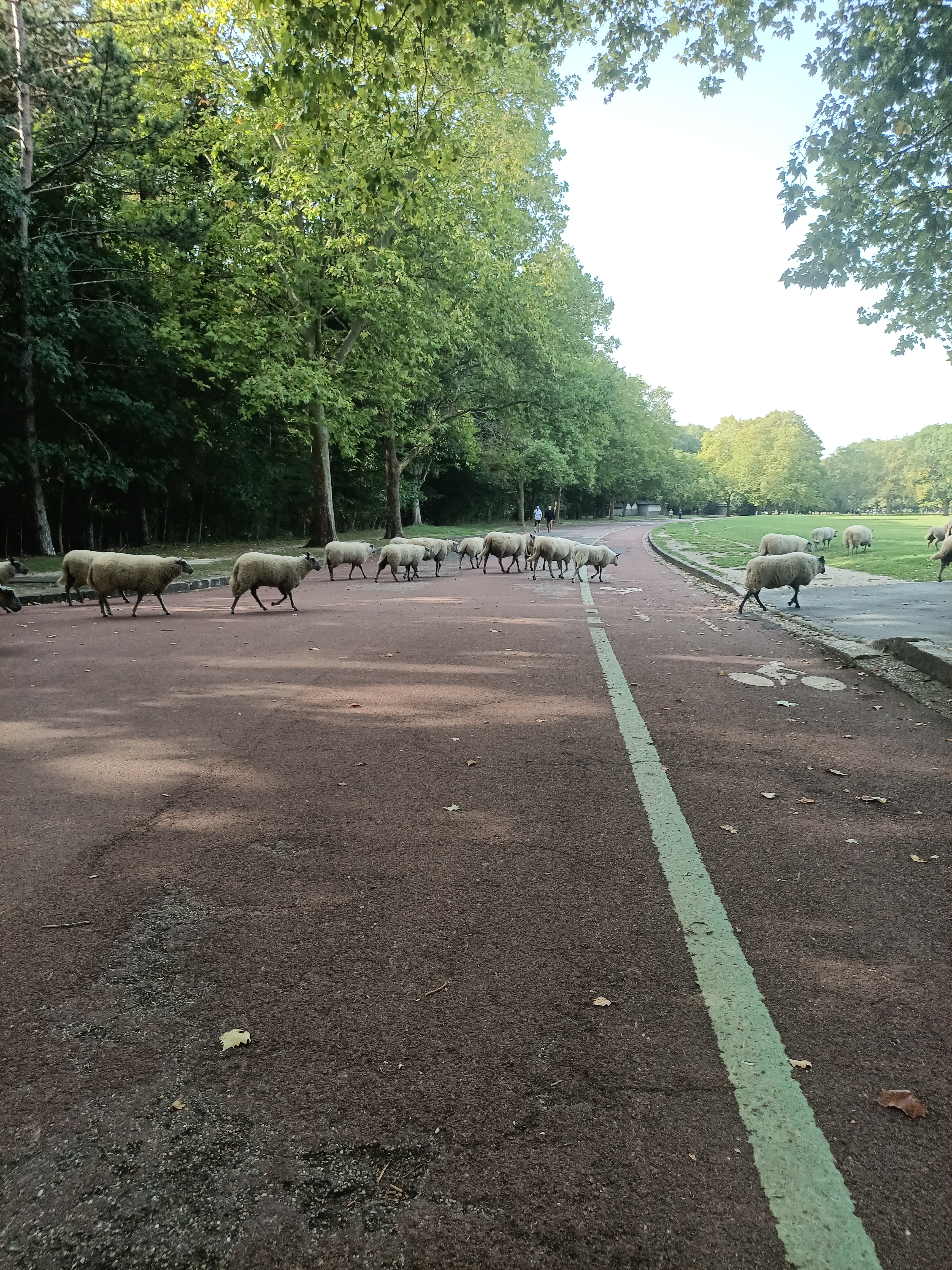 Photo n° 13 de l'avis de ini.e fait le 29/07/2023 à 12:14