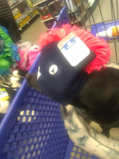 Pet Supply Store «PetSmart», reviews and photos, 6345 Garth Rd #140, Baytown, TX 77521, USA