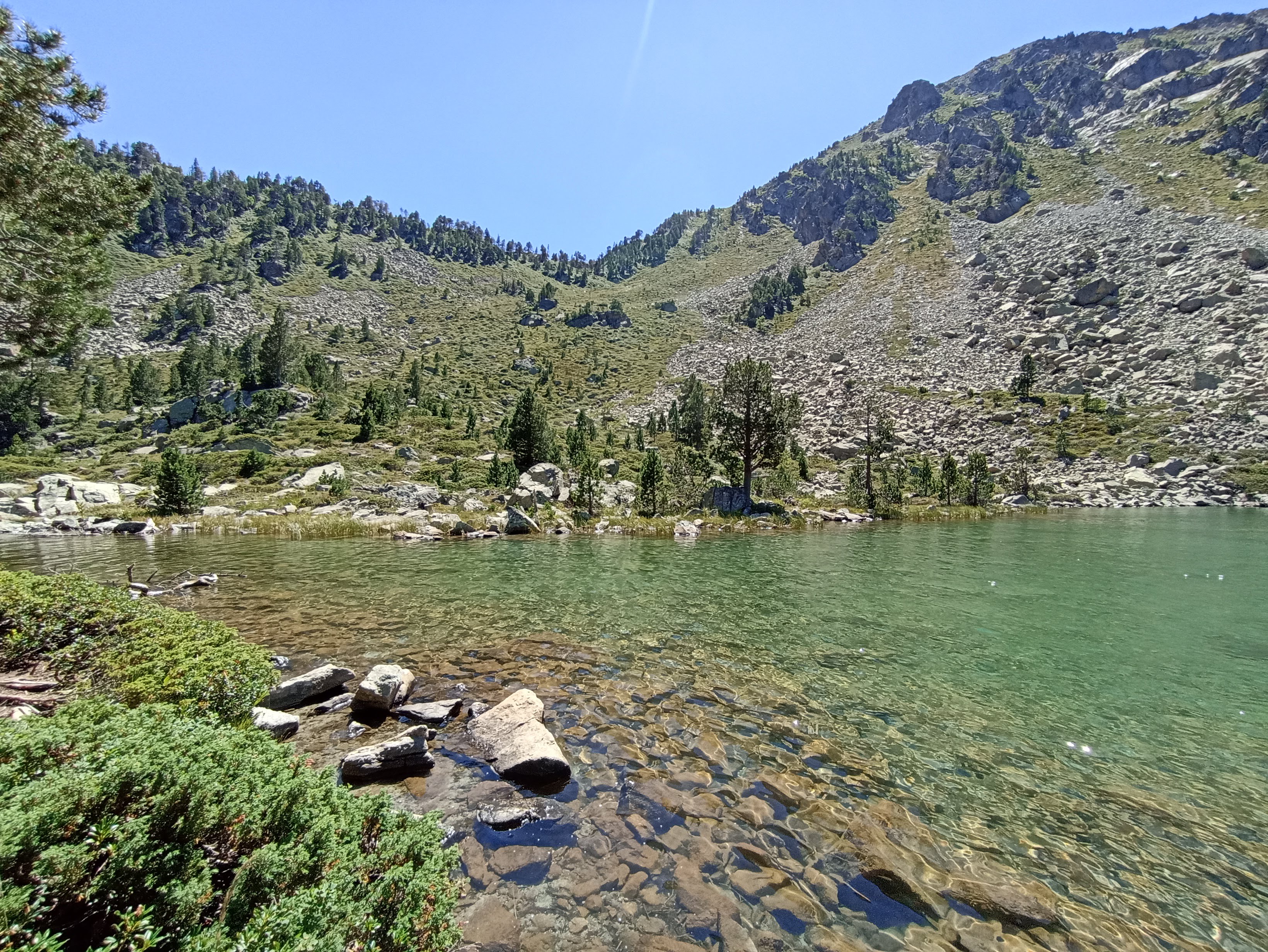 Photo n° 12 de l'avis de FIS.� fait le 15/08/2023 à 14:11