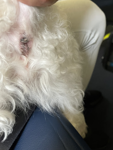 Pet Supply Store «Petco Animal Supplies», reviews and photos, 24413 Crenshaw Blvd #8, Torrance, CA 90505, USA