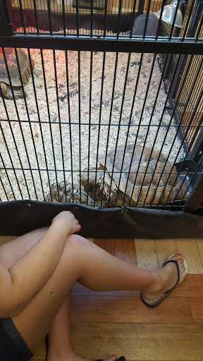 Pet Store «Affordable Pet Center», reviews and photos, 2022 Main St, Northampton, PA 18067, USA