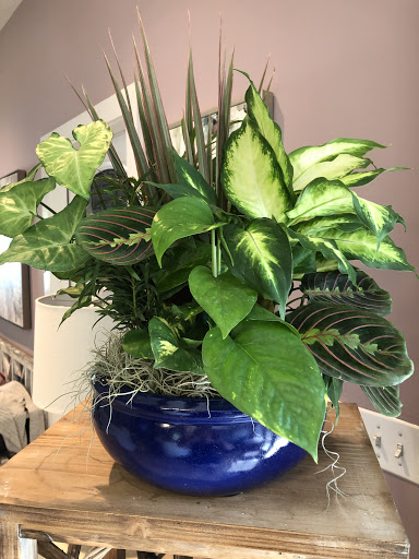 Florist «Floral Innovations», reviews and photos, 9222 Ravenna Rd, Twinsburg, OH 44087, USA