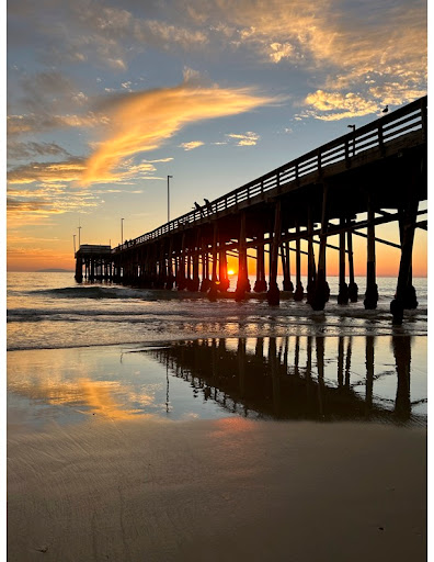 Beachview Realty image