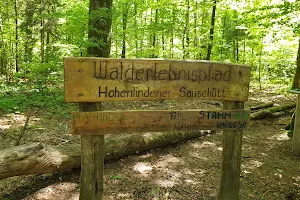 Walderlebnispfad Hohenlindener Sauschütt image