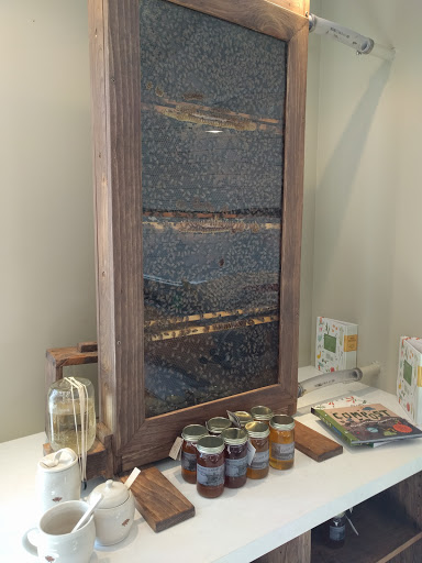 Gym «Life Time Fitness», reviews and photos, 4410 Royal Pine Dr, Colorado Springs, CO 80920, USA