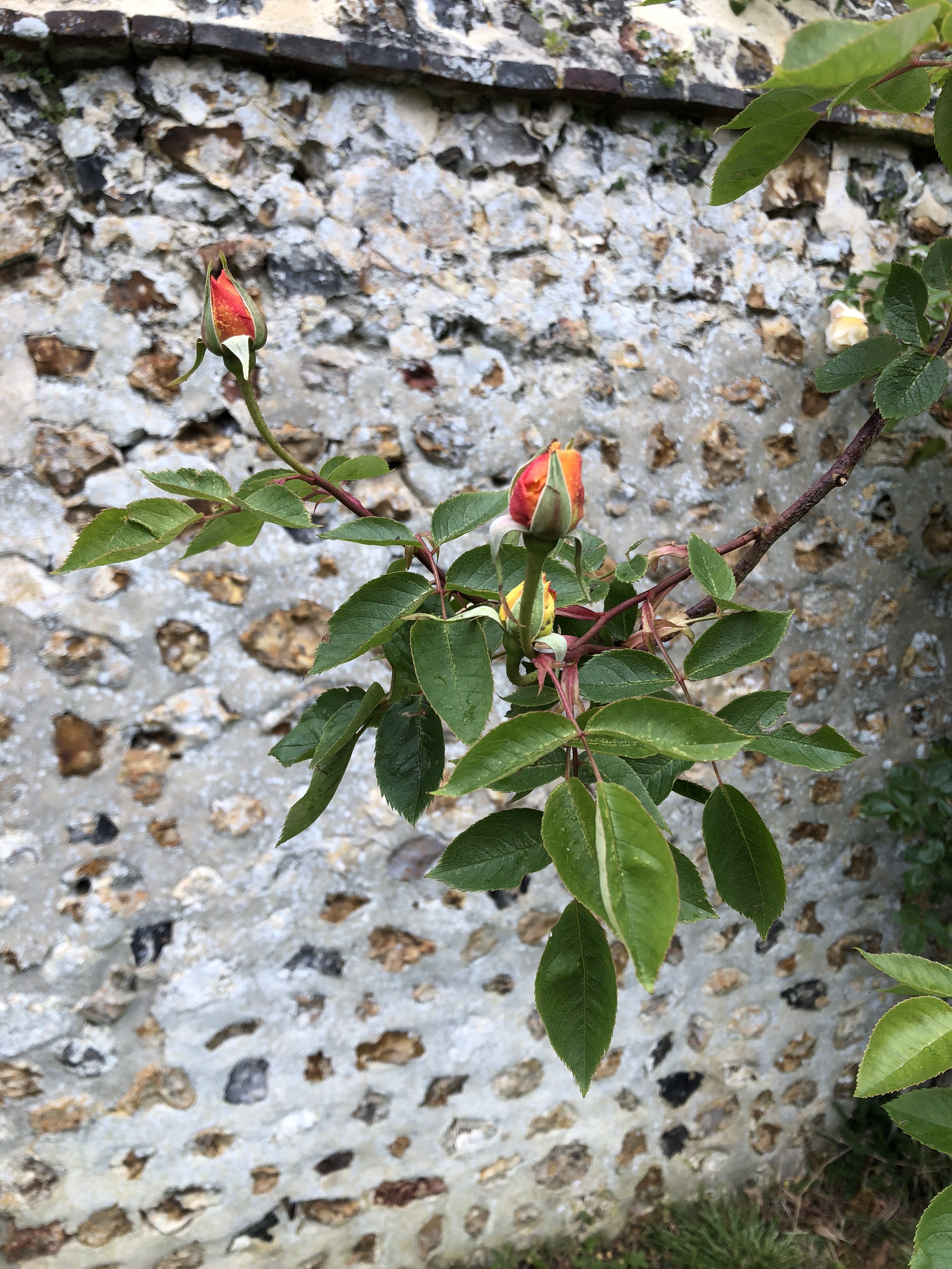 Photo n° 2 de l'avis de N. fait le 16/05/2019 à 12:18