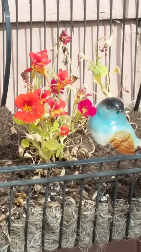 Book Store «Pipe & Thimble Bookstore», reviews and photos, 24830 Narbonne Ave, Lomita, CA 90717, USA