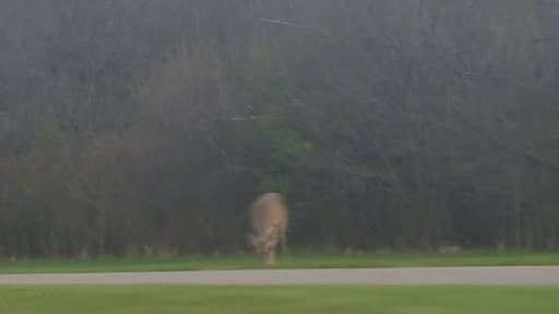 Golf Course «Pheasant Run Golf Club», reviews and photos, 46500 Summit Pkwy, Canton, MI 48188, USA