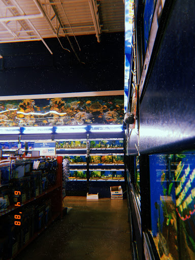 Pet Supply Store «Petco Animal Supplies», reviews and photos, 777 Stillwater Ave, Bangor, ME 04401, USA