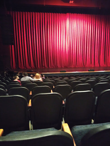 Art Museum «Coral Springs Museum of Art», reviews and photos, 2855 Coral Springs Dr, Coral Springs, FL 33065, USA