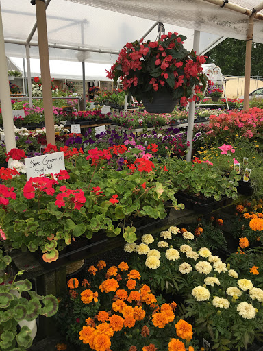 Florist «TG Designs», reviews and photos, 19231 Longmeadow Rd, Hagerstown, MD 21742, USA