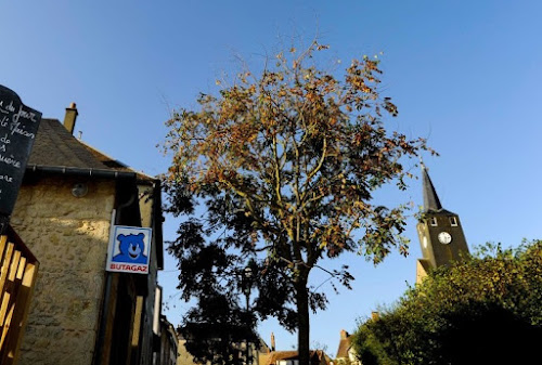 Épicerie - Le Bistrot du Village à Brains-sur-Gée