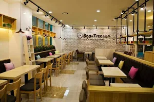 Coffee Bean Tree 200.25 image