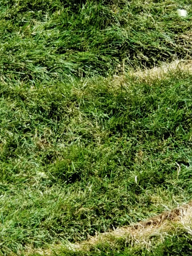 Zoo «Detroit Zoo», reviews and photos, 8450 W 10 Mile Rd, Royal Oak, MI 48067, USA