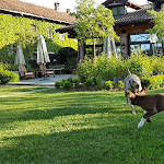 Photo n°5 de l'avis de Flavio.r fait le 25/04/2017 à 18:45 sur le  San Quintino Resort à Busca