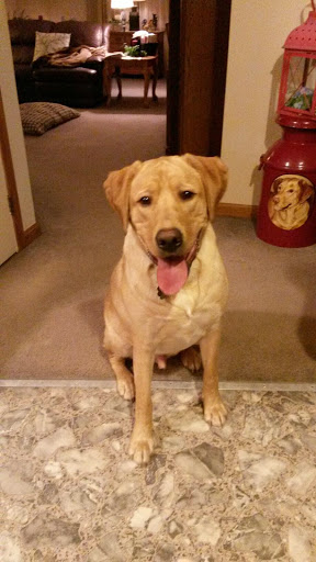 Pet Supply Store «Stoltzfus Feed & Supply», reviews and photos, 80 PA-41, Gap, PA 17527, USA