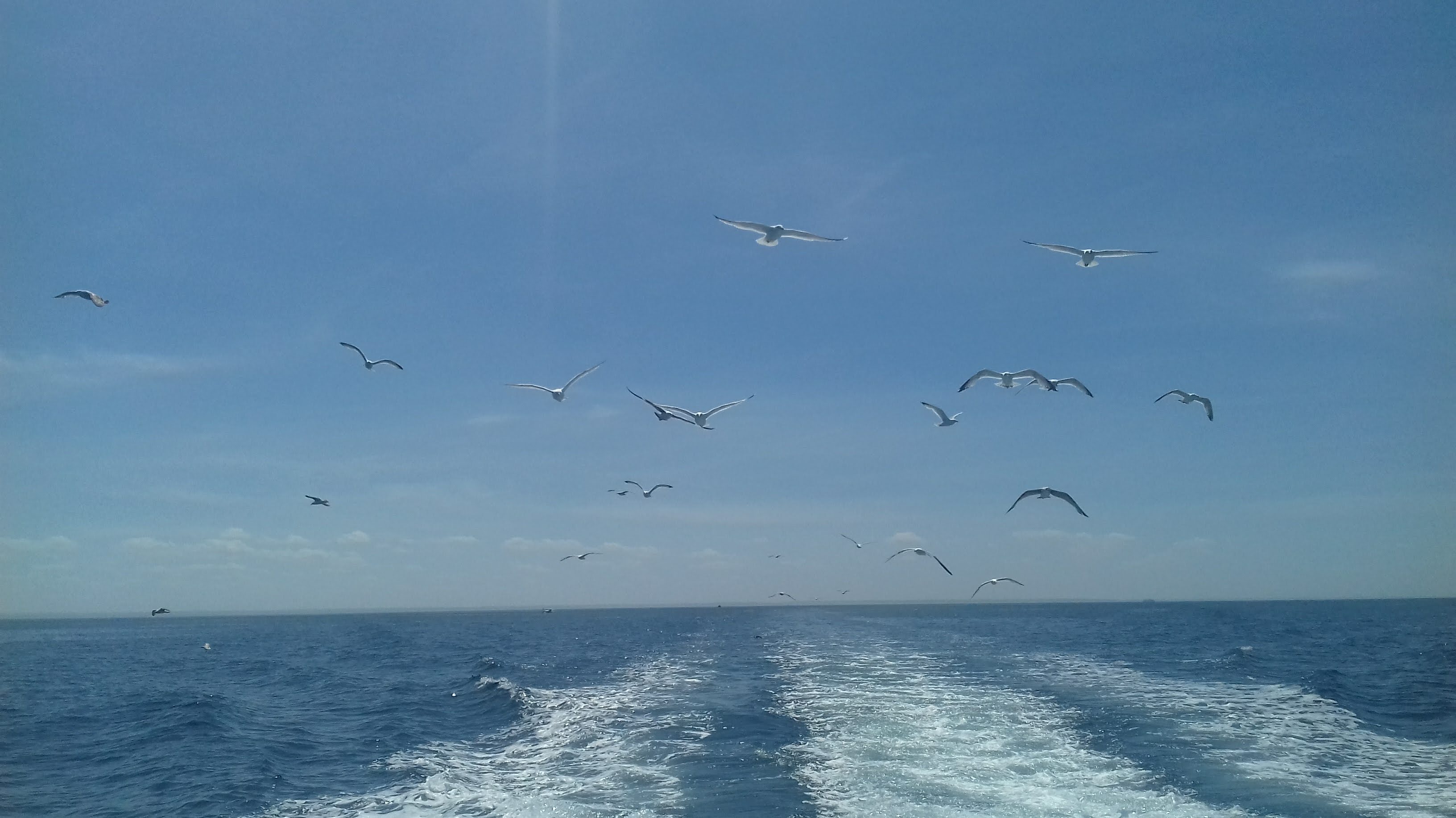 Photo n° 1 de l'avis de Tanguy.a fait le 01/06/2019 à 14:53