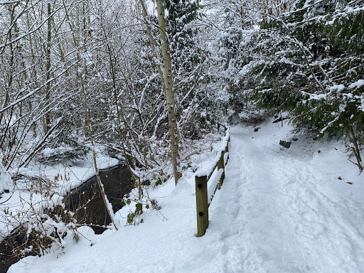 Park «Ravenna Park», reviews and photos, 5520 Ravenna Ave NE, Seattle, WA 98105, USA