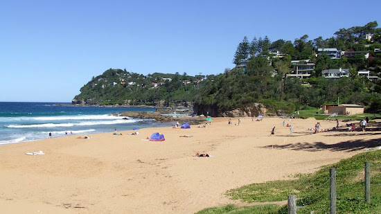 Whale Beach