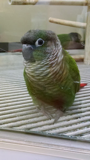 Pet Supply Store «Petco Animal Supplies», reviews and photos, 1670 Airport Blvd #700, Pensacola, FL 32504, USA