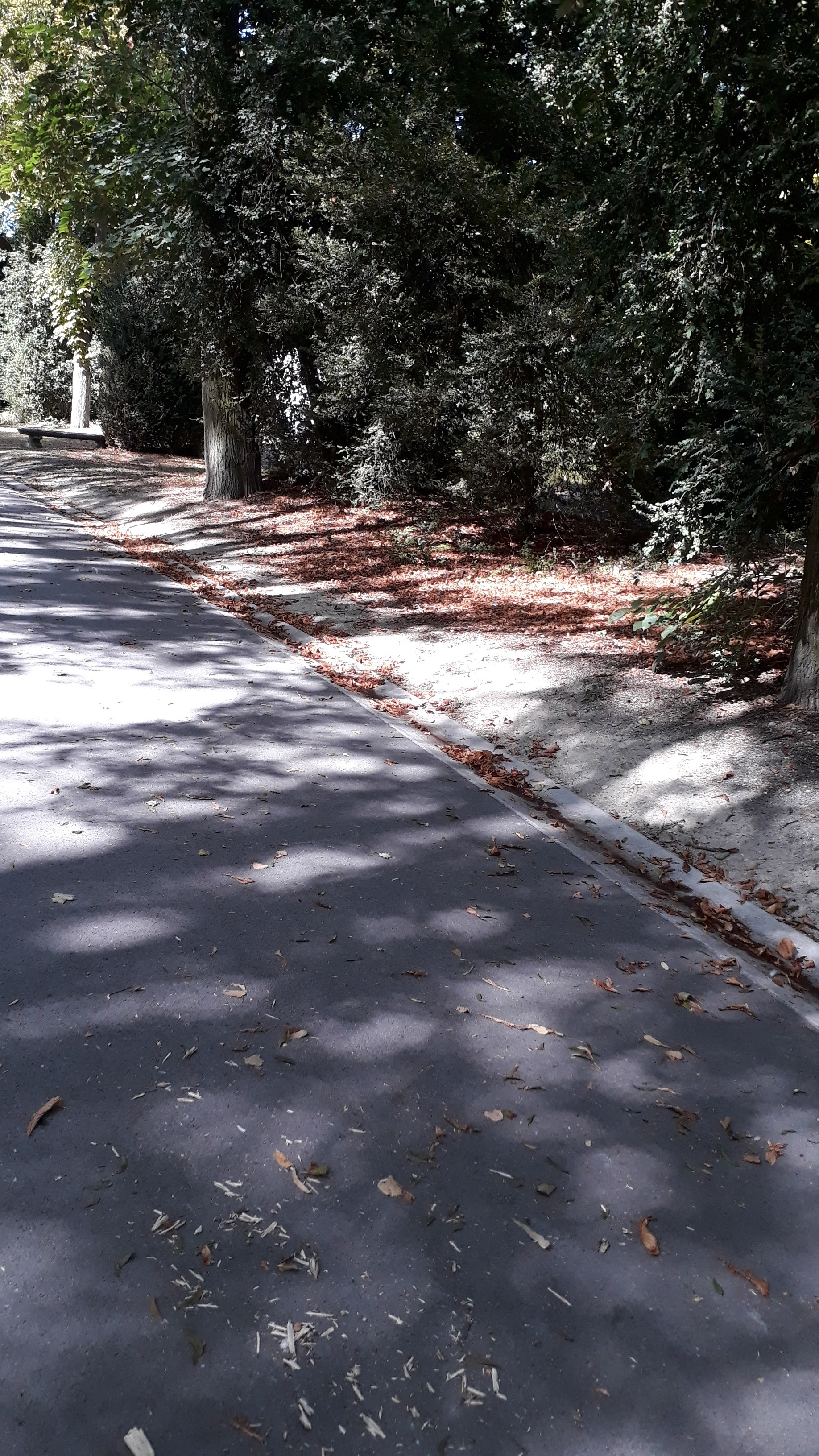 Photo n° 19 de l'avis de Veronique.a fait le 15/09/2019 à 13:59