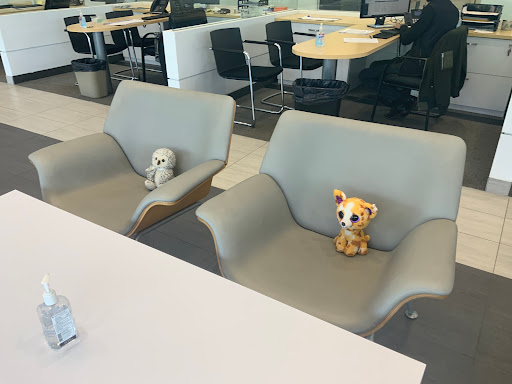 Nissan Dealer «Nissan of Huntington», reviews and photos, 850 E Jericho Turnpike, Huntington Station, NY 11746, USA