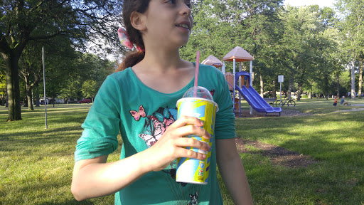 Park «Schemansky Park», reviews and photos, W Outer Dr, Dearborn, MI 48124, USA