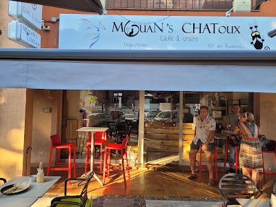 Mouans Chatoux - Café à chats à Mouans-Sartoux