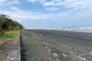 Pantai Rambut Siwi image