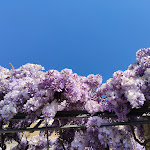 Photo n°3 de l'avis de laeti.a fait le 09/04/2023 à 17:07 sur le  Hotel Bellavista à Menaggio