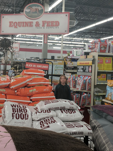 Home Improvement Store «Tractor Supply Co.», reviews and photos, 433 Centerville Turnpike S, Chesapeake, VA 23322, USA