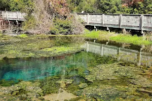 Magnolia Springs State Park image