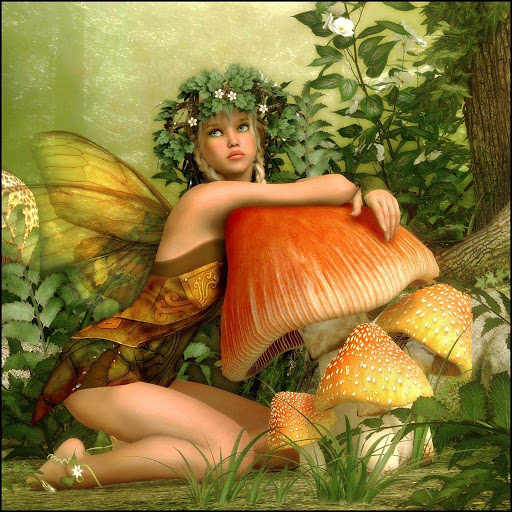 Coffee Shop «Starbucks», reviews and photos, 406 N Main St, Sebastopol, CA 95472, USA