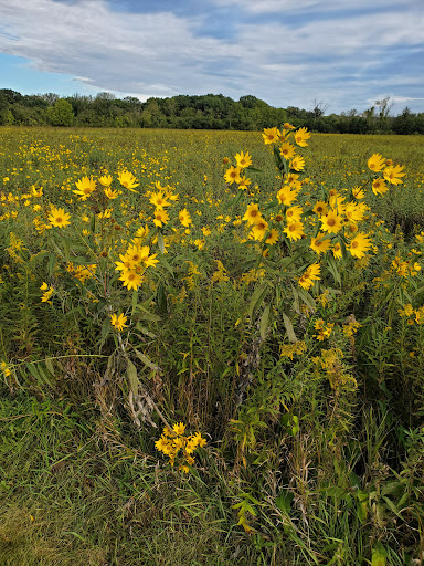 Nature Preserve «Rubio Woods», reviews and photos, W. Midlothian Turnpike, Midlothian, IL 60445, USA