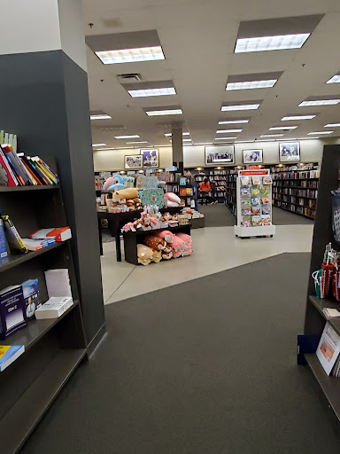 Book Store «Books-A-Million», reviews and photos, 5900 Sugarloaf Pkwy #321, Lawrenceville, GA 30043, USA