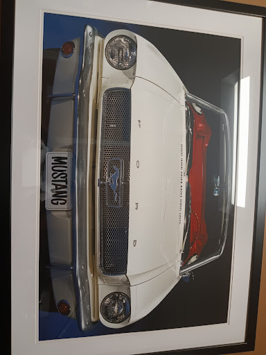 Ford Dealer «Dana Ford Lincoln», reviews and photos, 266 West Service Road, Staten Island, NY 10314, USA